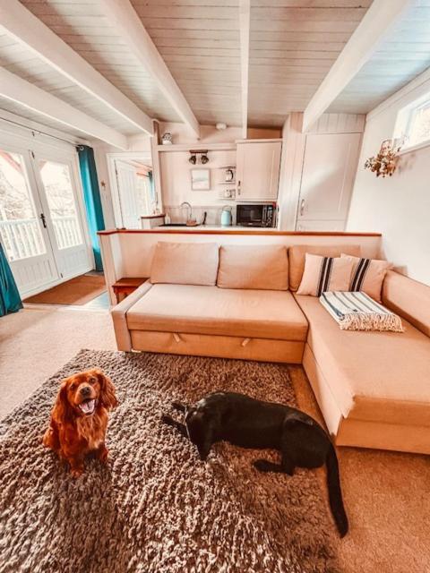 فيلا تروروفي Blankednick Boltholes - 3 Beautiful Family Or Couples Cornish Getaways المظهر الخارجي الصورة
